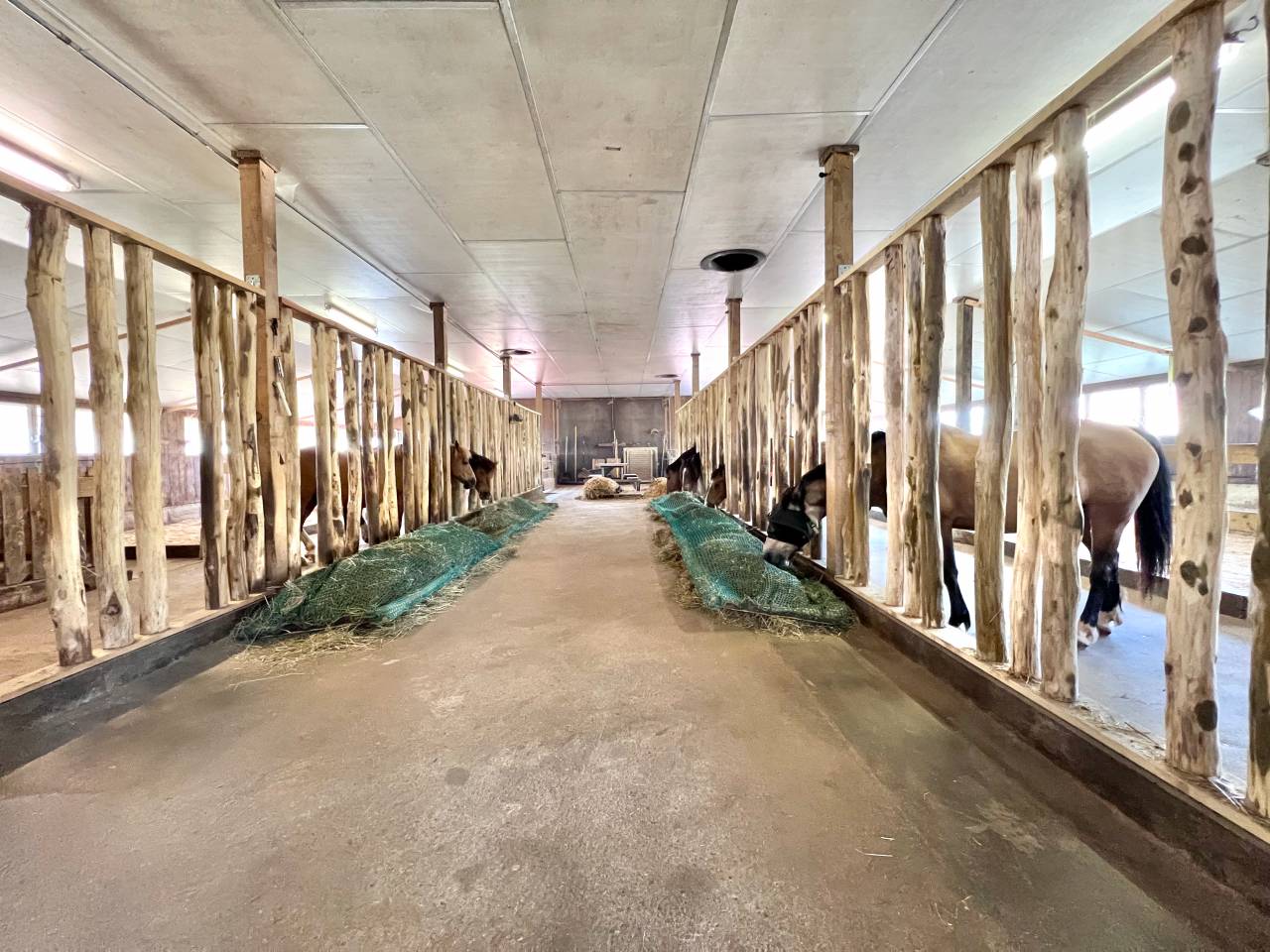Ferme &eacute;questre avec stabulations