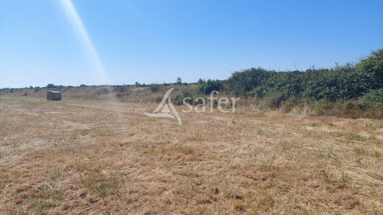 Propri&eacute;t&eacute; agricole de 50ha avec b&acirc;timents d'habitations et d'