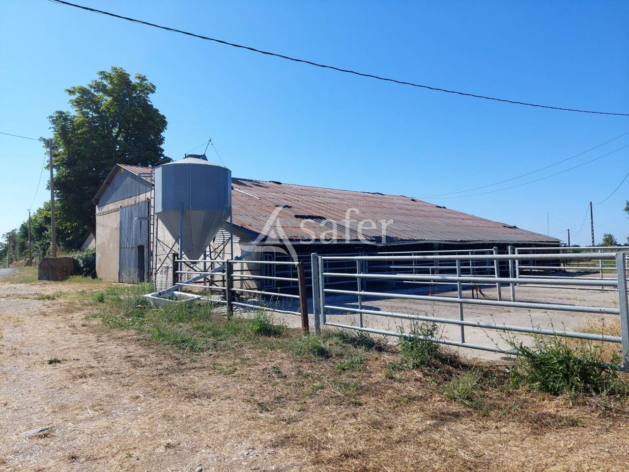 Propri&eacute;t&eacute; agricole de 50ha avec b&acirc;timents d'habitations et d'