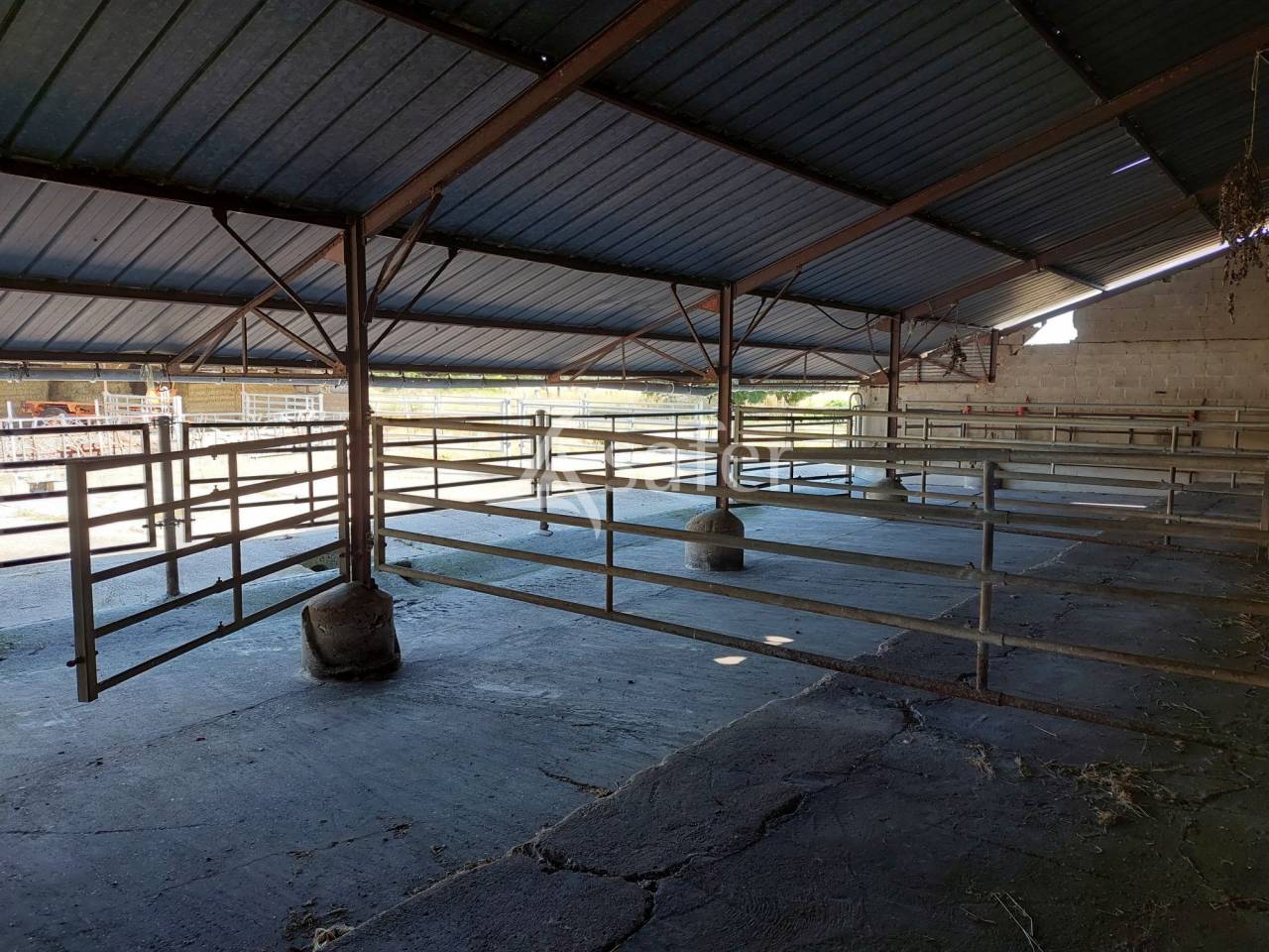 Propri&eacute;t&eacute; agricole de 50ha avec b&acirc;timents d'habitations et d'