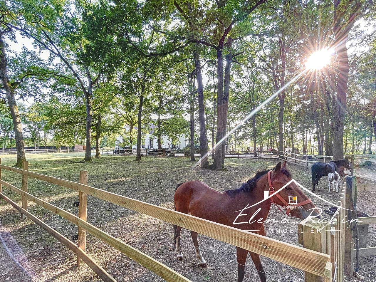 PROPRIETE EQUESTRE D'EXCEPTION