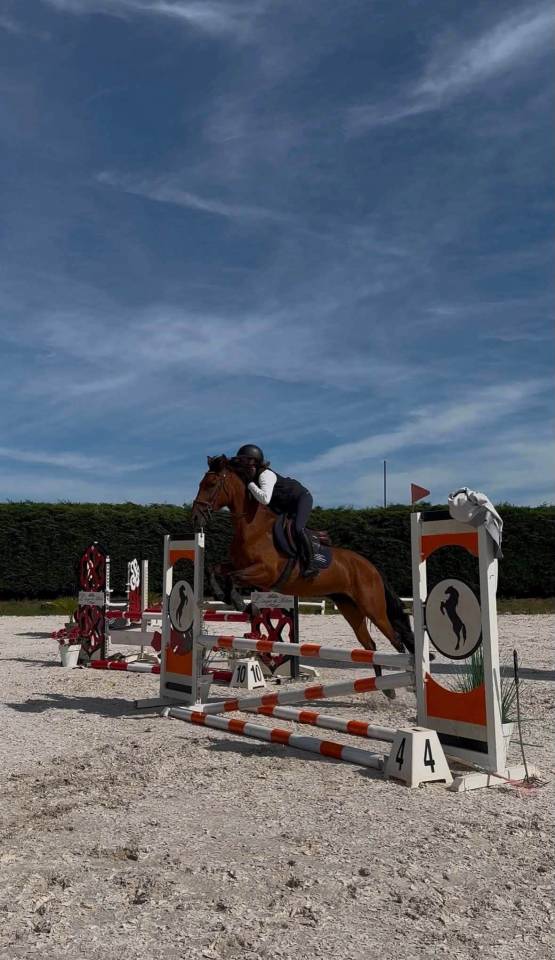 Odis&eacute;a Gentille jument de 8 ans , 1.55 au garrot 