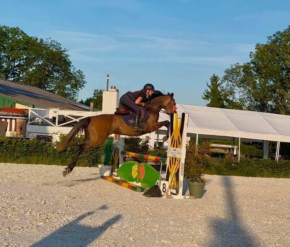 Canela Jolie jument de 4 ans