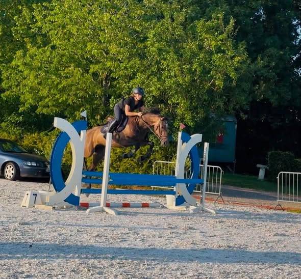 Canela Jolie jument de 4 ans
