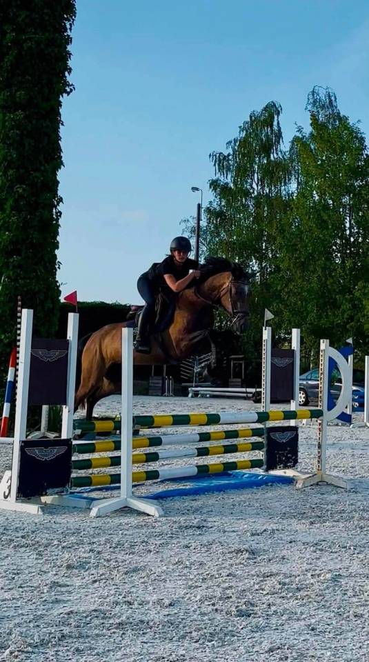 Canela Jolie jument de 4 ans
