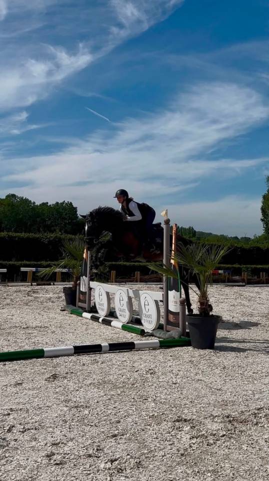 Bailarina, Magnigique jument de 4 ans 