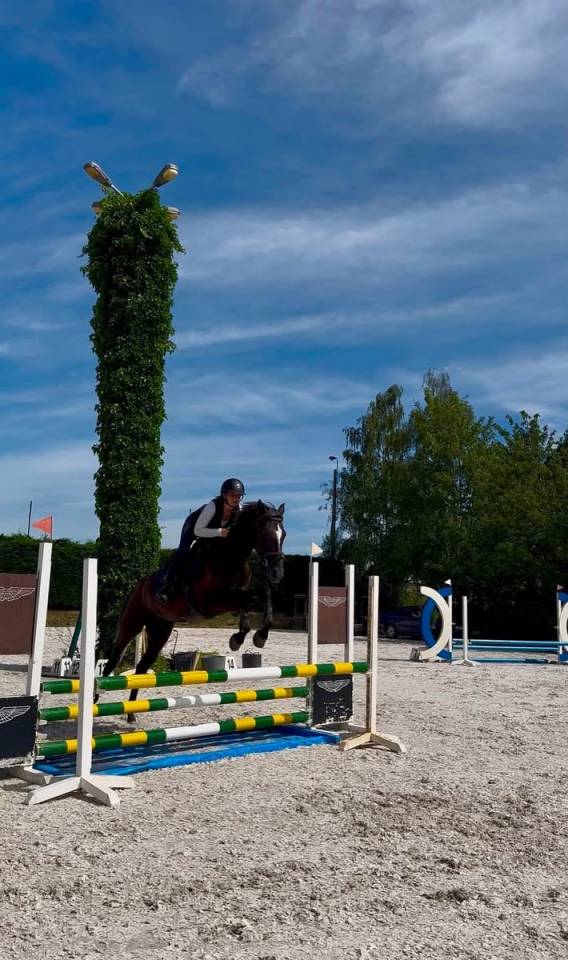 Bailarina, Magnigique jument de 4 ans 