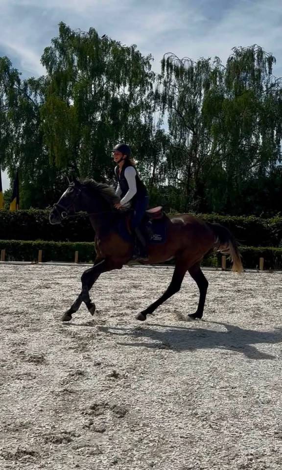 Bailarina, Magnigique jument de 4 ans 