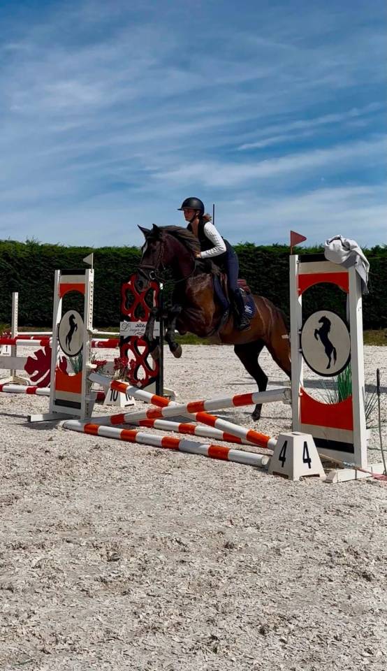 Bailarina, Magnigique jument de 4 ans 
