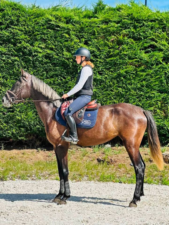 Bailarina, Magnigique jument de 4 ans 