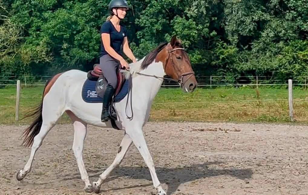 Urkanna Hapiness, Magnifique jument de 5 ans 