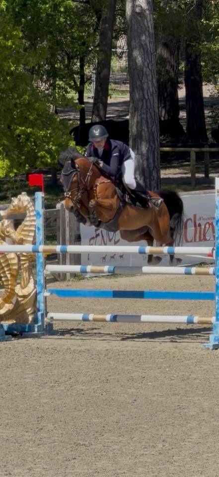 Excellent Poney de Grand prix &agrave; vendre 