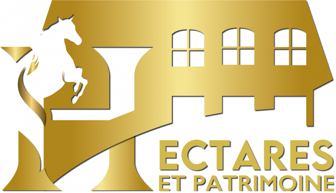Fonds de commerce de centre &eacute;questre / poney-club &agrave; taille humaine