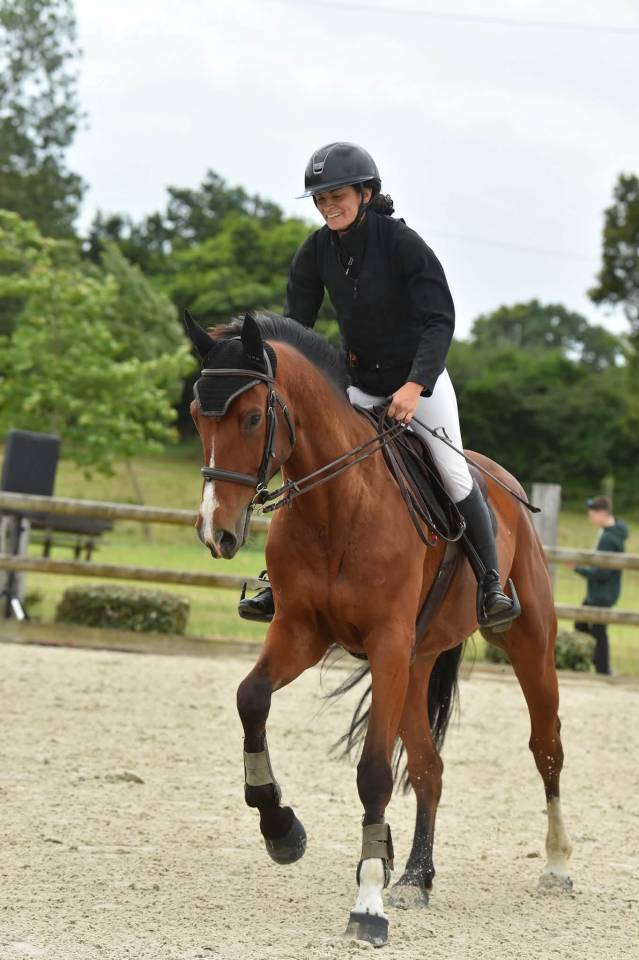 Cheval de sport avec moyens