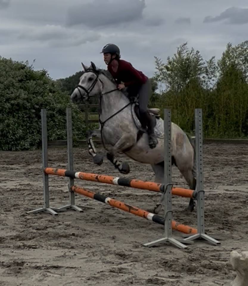 Top petite jument &agrave; vendre 