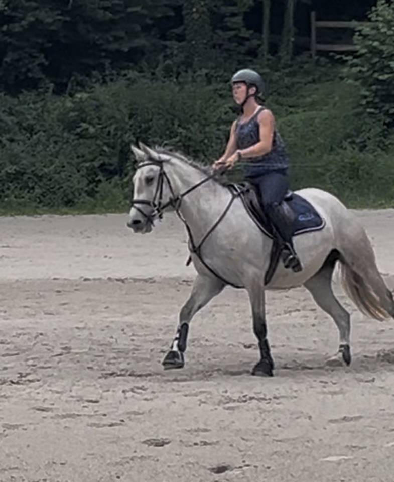 Top petite jument &agrave; vendre 