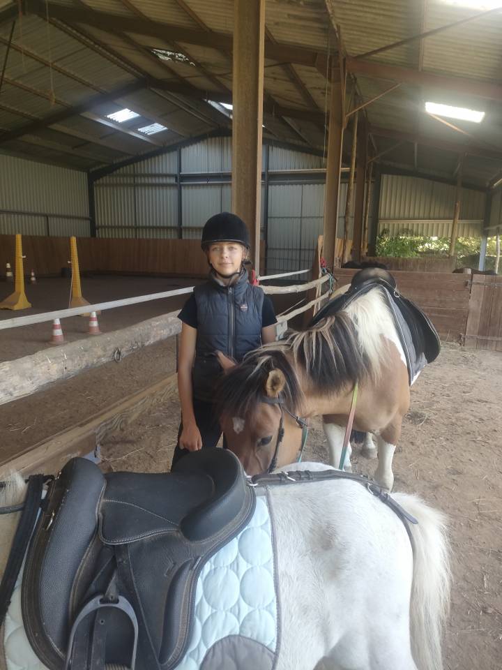 A VENDRE JOLI PONEY ISABELLE PIE TOBIANO ONCP 1M35 