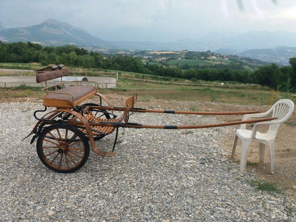 Voiture hippomobile
