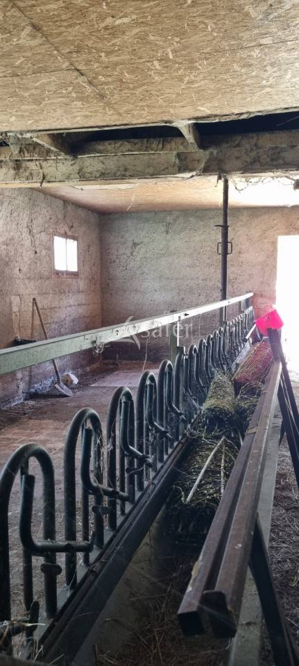 Propri&eacute;t&eacute; d'&eacute;levage avec ancien moulin et 13ha attenants