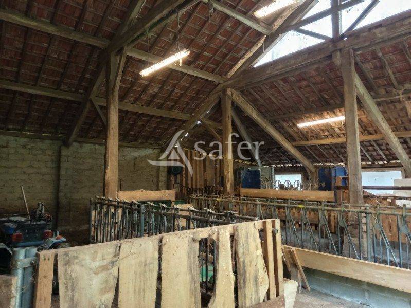 Propri&eacute;t&eacute; d'&eacute;levage avec ancien moulin et 13ha attenants