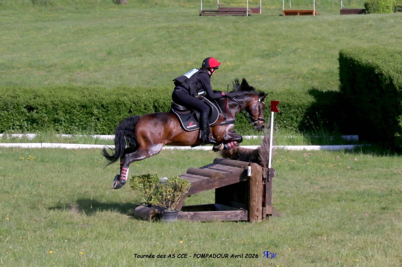 Poney CCE Epreuves AS
