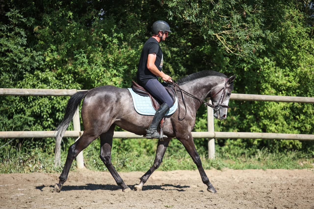 GOLD - 5ans - 1m64
