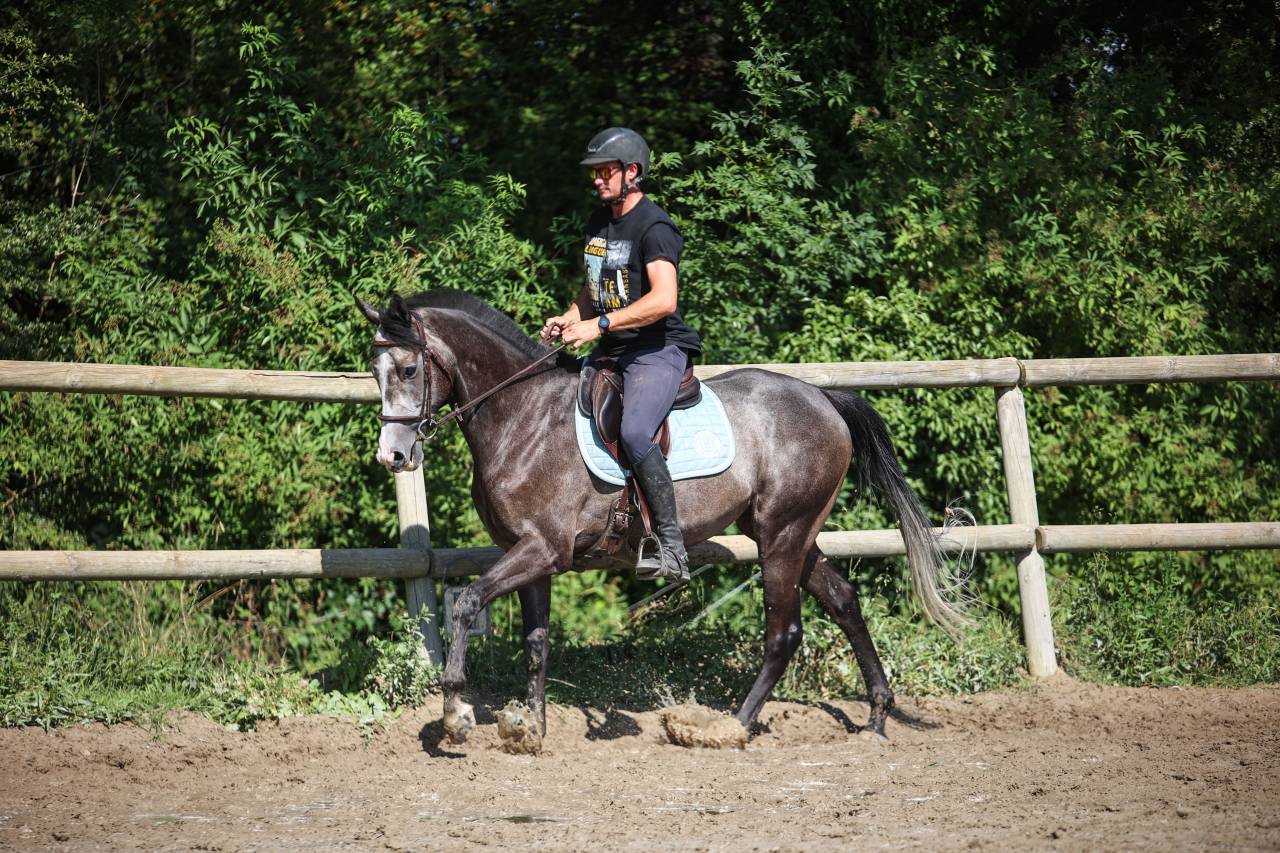 GOLD - 5ans - 1m64