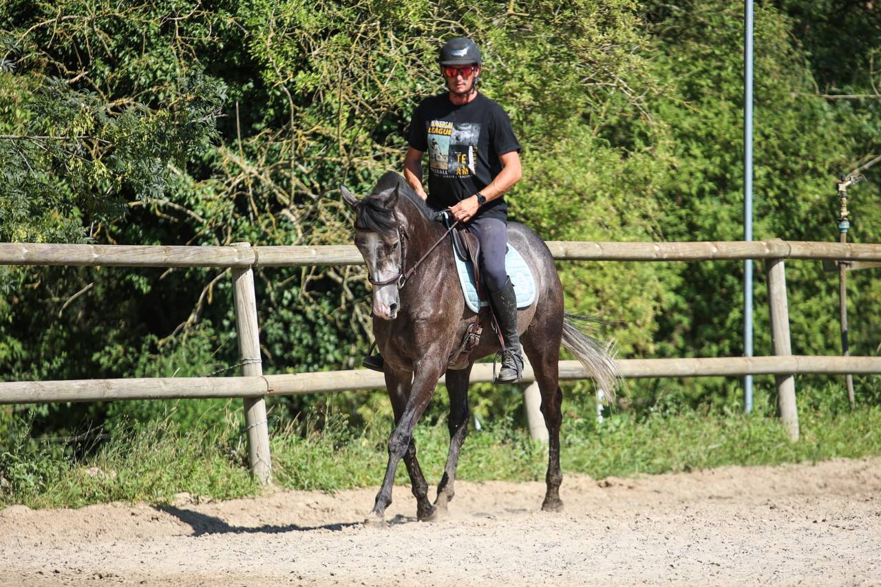 GOLD - 5ans - 1m64
