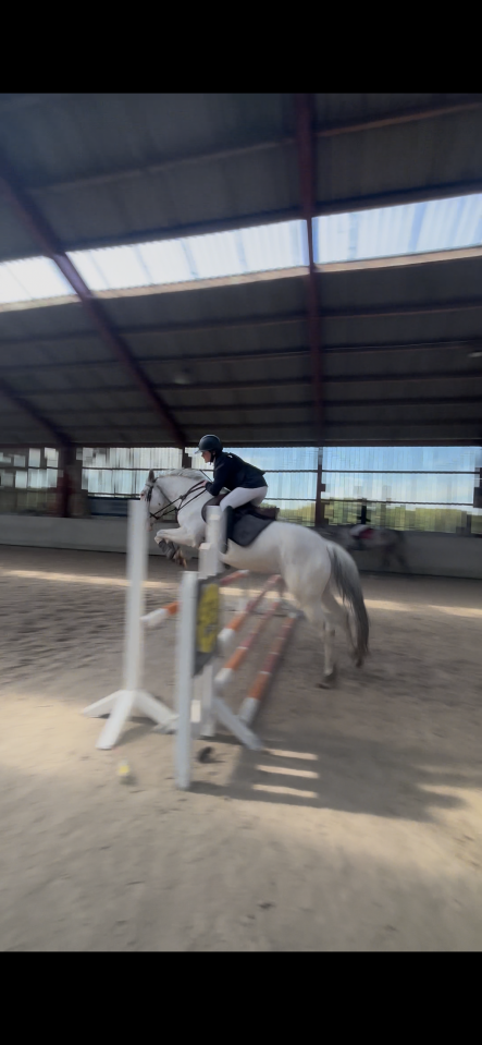 Gus - 6 ans (2020) - 1m52/53