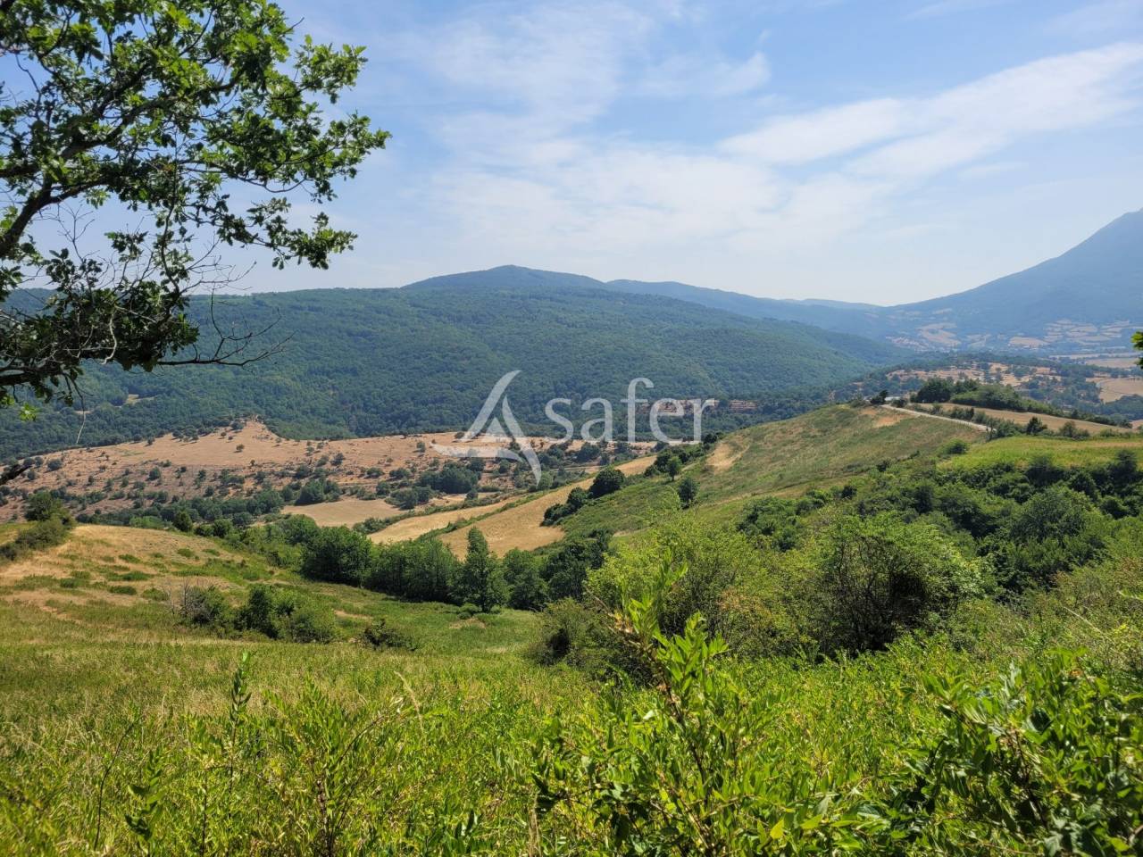 Propri&eacute;t&eacute; rurale de 16 ha avec pr&eacute;s et bois, Marche Pyr&eacute;n&eacute;e