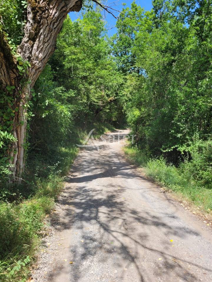 Propri&eacute;t&eacute; rurale de 16 ha avec pr&eacute;s et bois, Marche Pyr&eacute;n&eacute;e
