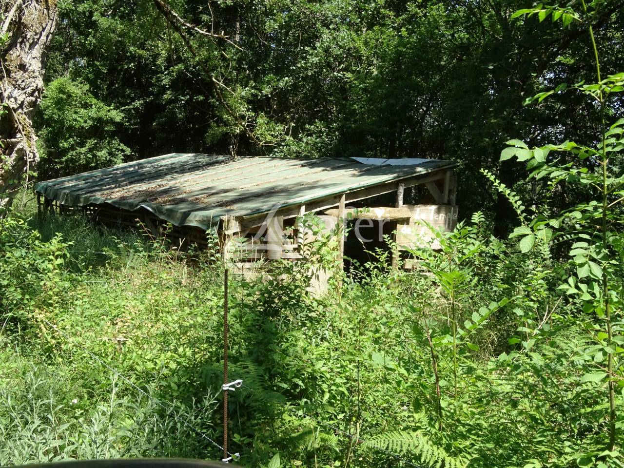 Propri&eacute;t&eacute; rurale de 16 ha avec pr&eacute;s et bois, Marche Pyr&eacute;n&eacute;e