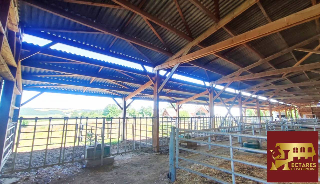 Propri&eacute;t&eacute; &eacute;questre 2,6 hectares