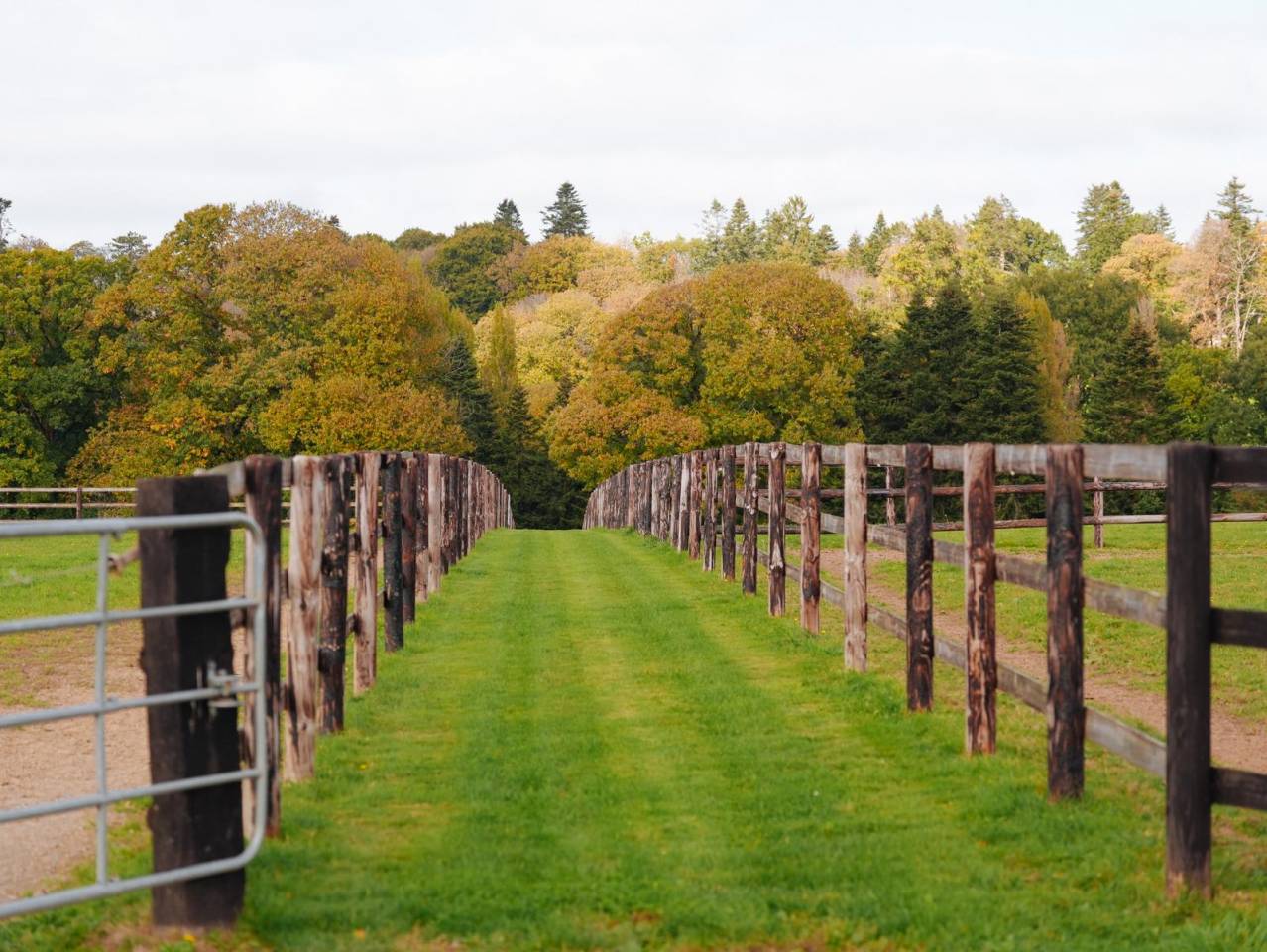 HARAS TR&Egrave;S FONCTIONNEL 45,5 HA