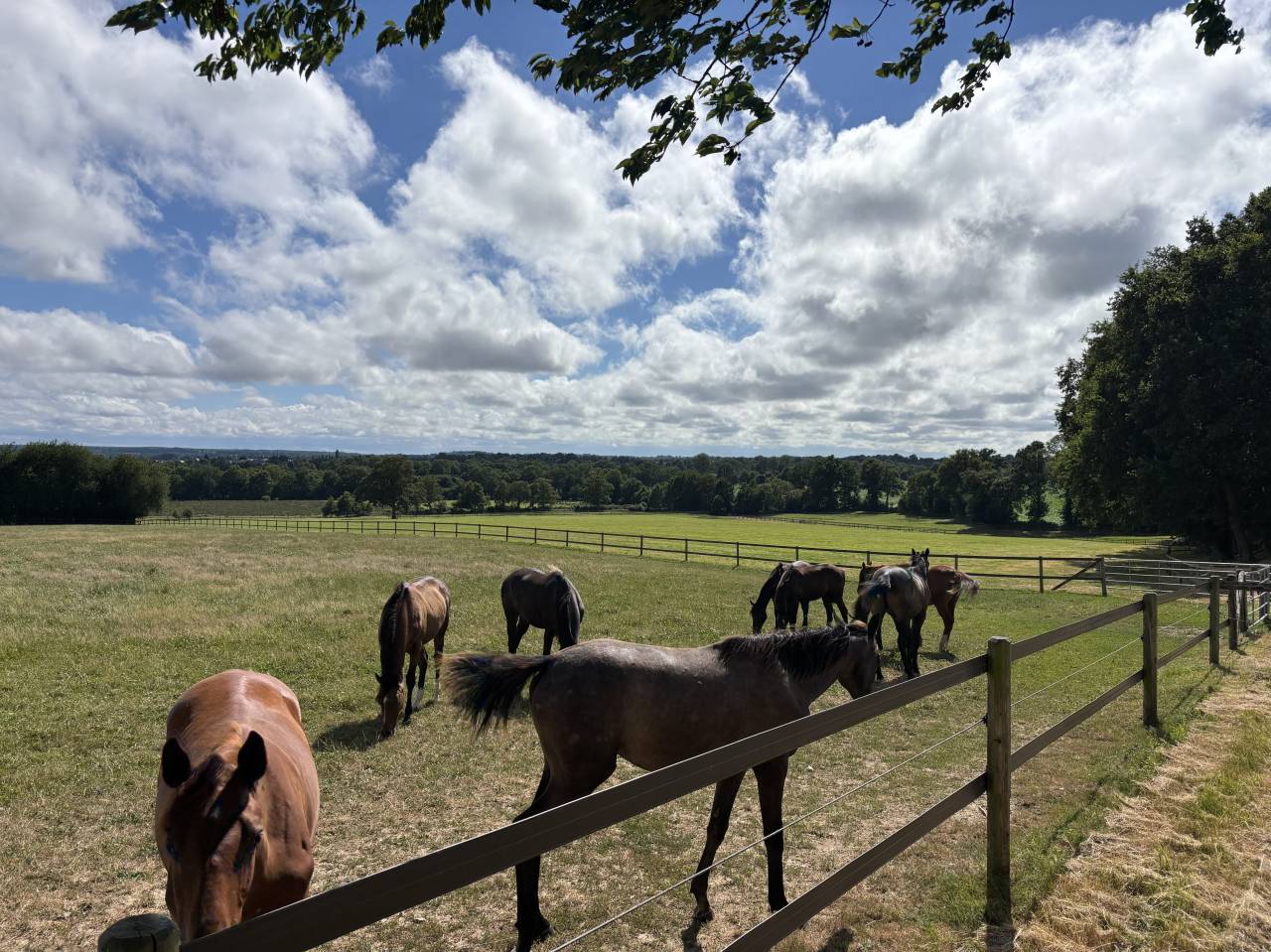 HARAS TR&Egrave;S FONCTIONNEL 45,5 HA