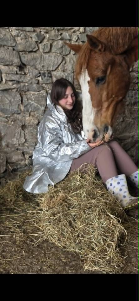 Demi-pension cheval professeur 