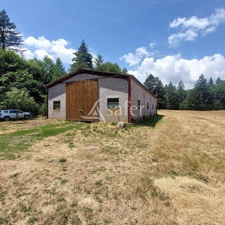B&acirc;timent agricole avec 13 ha attenant