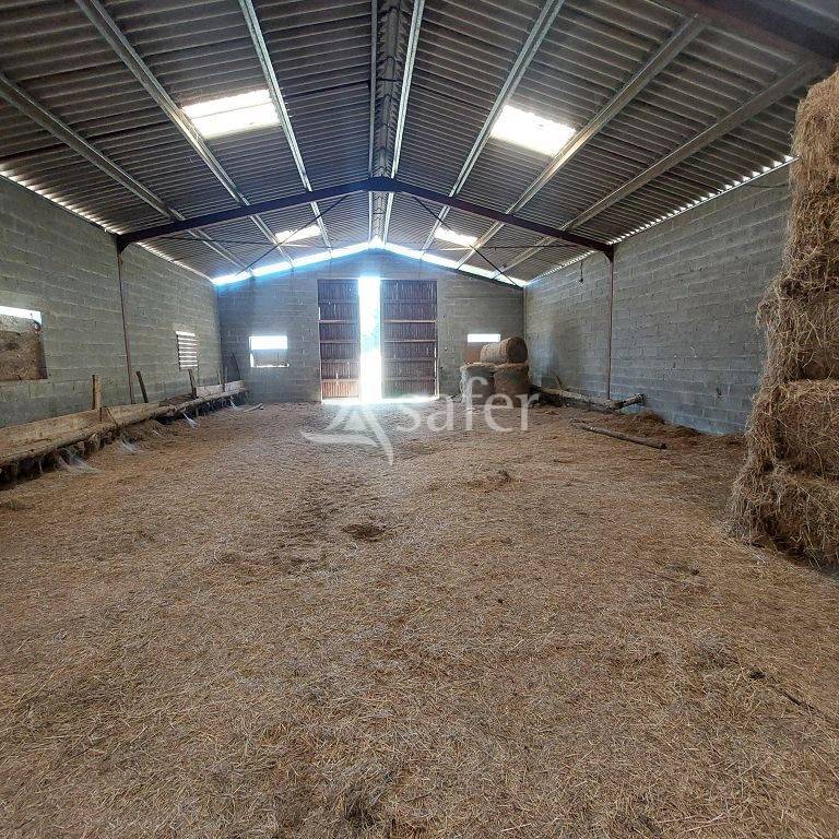B&acirc;timent agricole avec 13 ha attenant