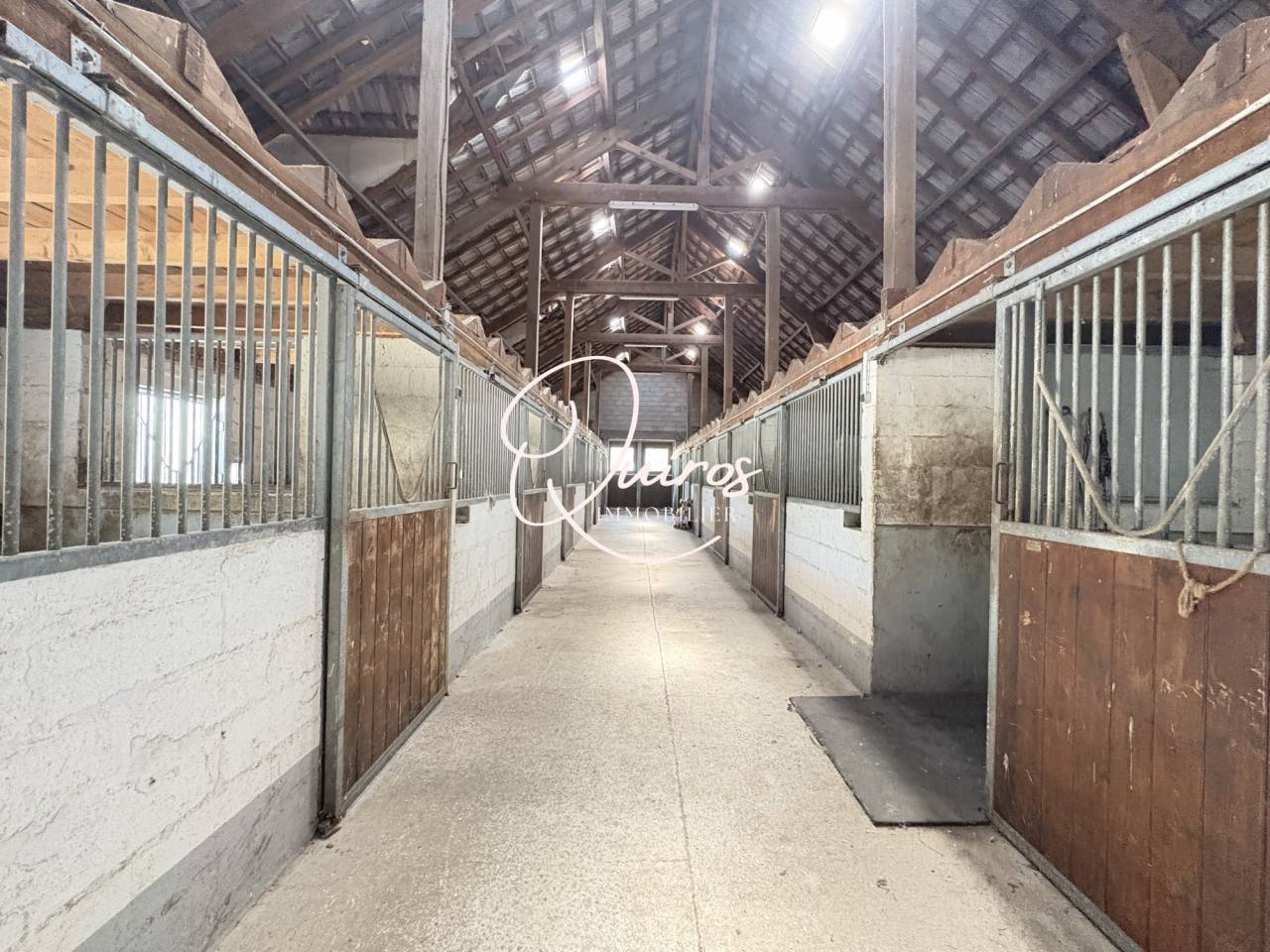Propri&eacute;t&eacute; &eacute;questre - Fontainebleau - 6 hectares