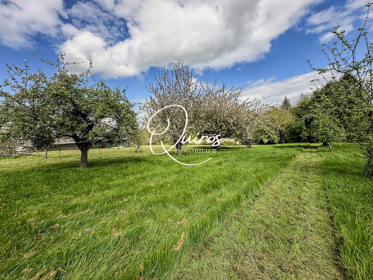 Ensemble immobilier - Vendes - 1 hectare 3