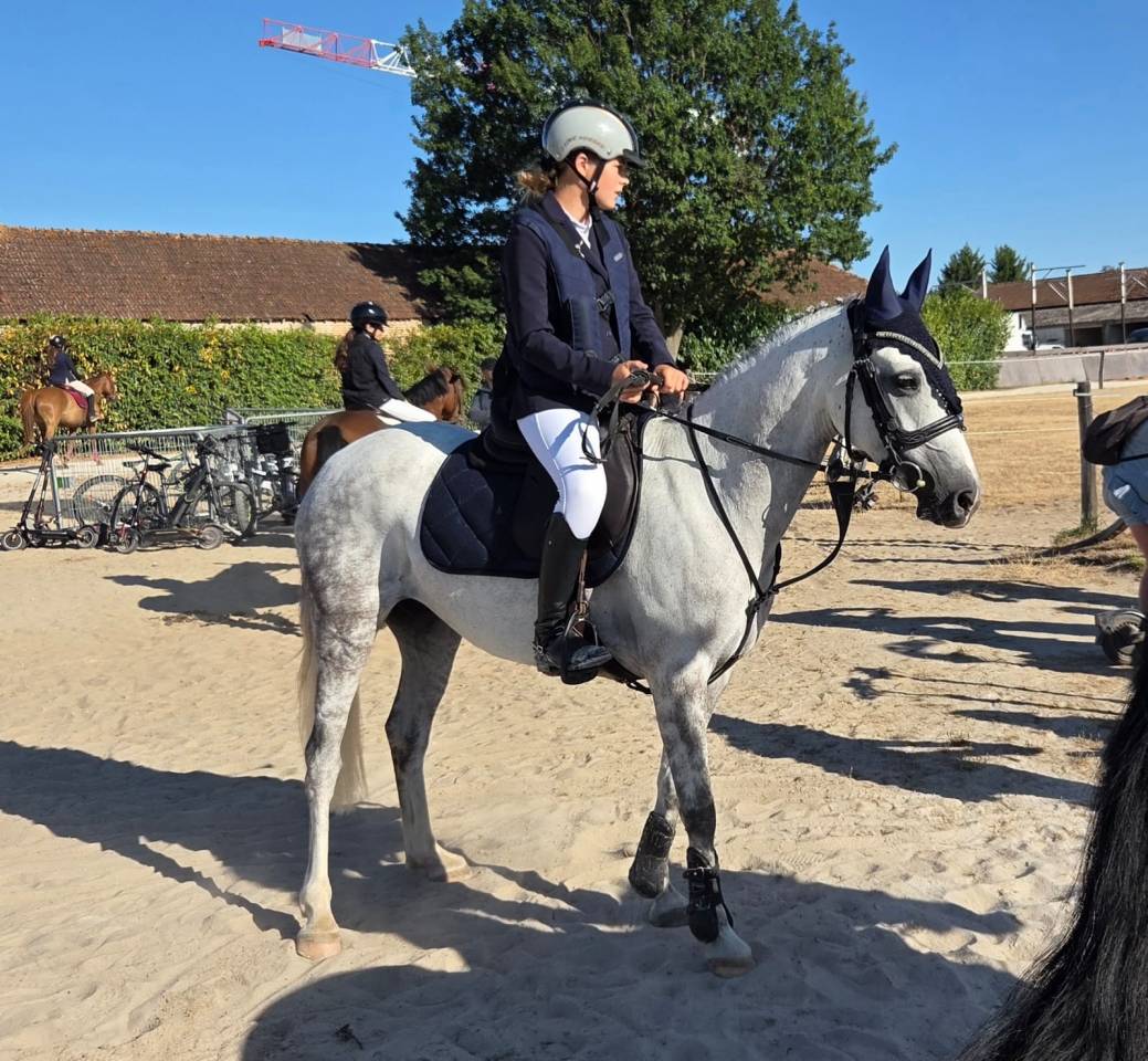 Poney 