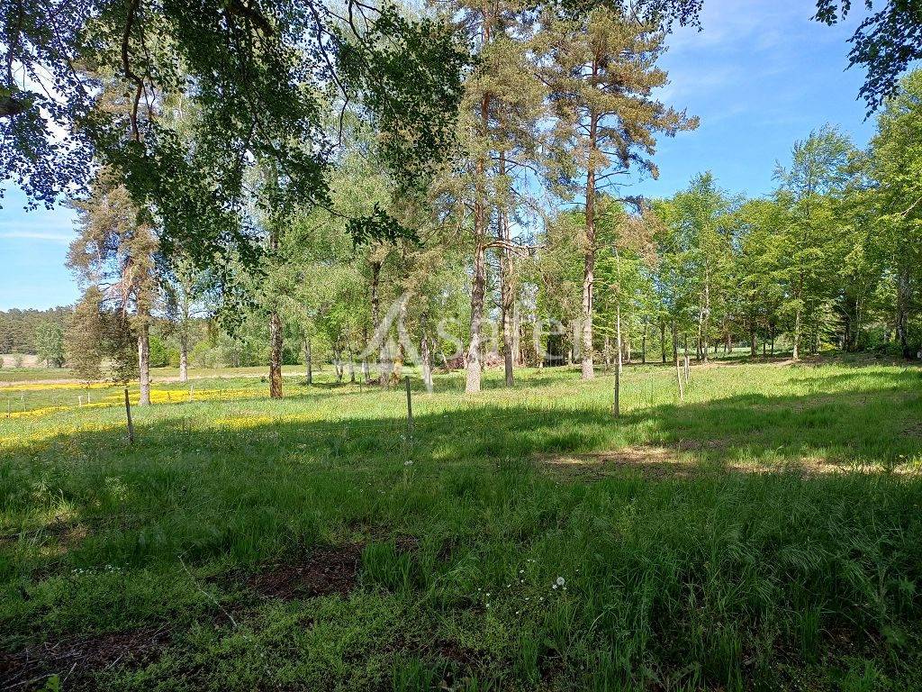 Enclos b&acirc;ti avec 5ha90 de foncier bien group&eacute;s.
