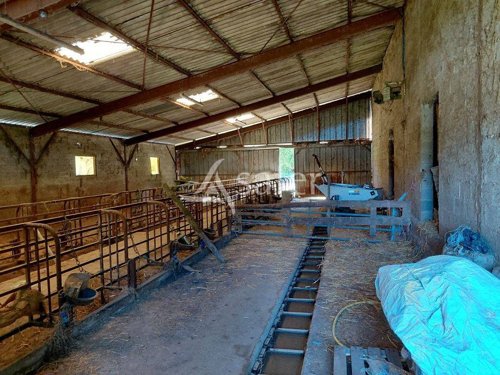 Propri&eacute;t&eacute; agricole d'&eacute;levage sur 59 ha