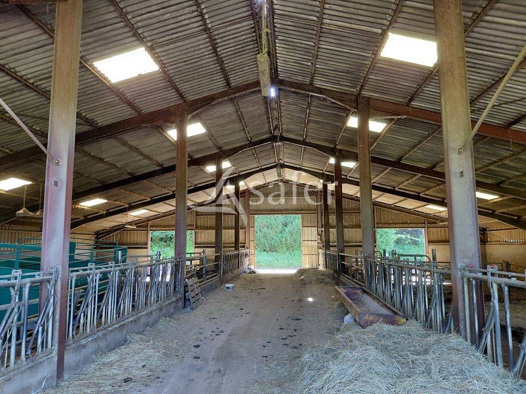 Propri&eacute;t&eacute; agricole d'&eacute;levage sur 59 ha
