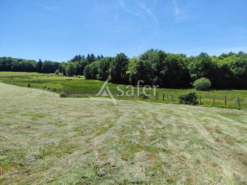 Propri&eacute;t&eacute; agricole d'&eacute;levage sur 59 ha