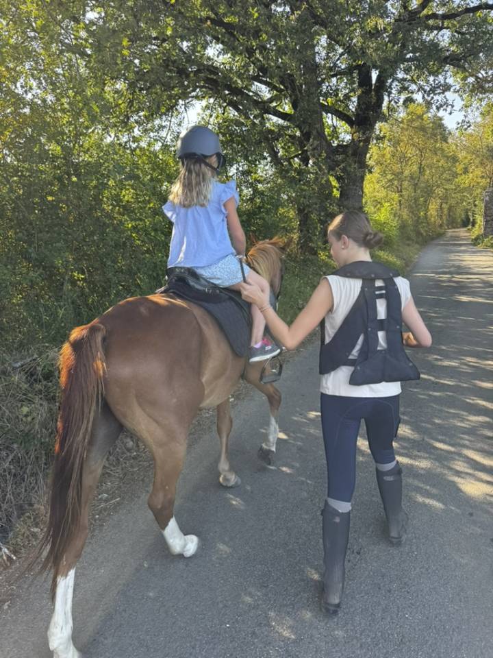 Cassanova &ndash; Hongre Welsh Part-Bred &ndash; 11 ans tr&egrave;s gentil