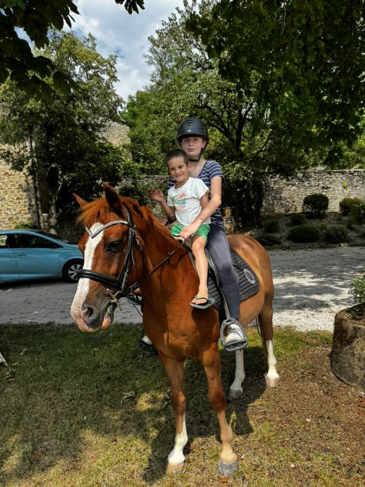 Cassanova &ndash; Hongre Welsh Part-Bred &ndash; 11 ans tr&egrave;s gentil