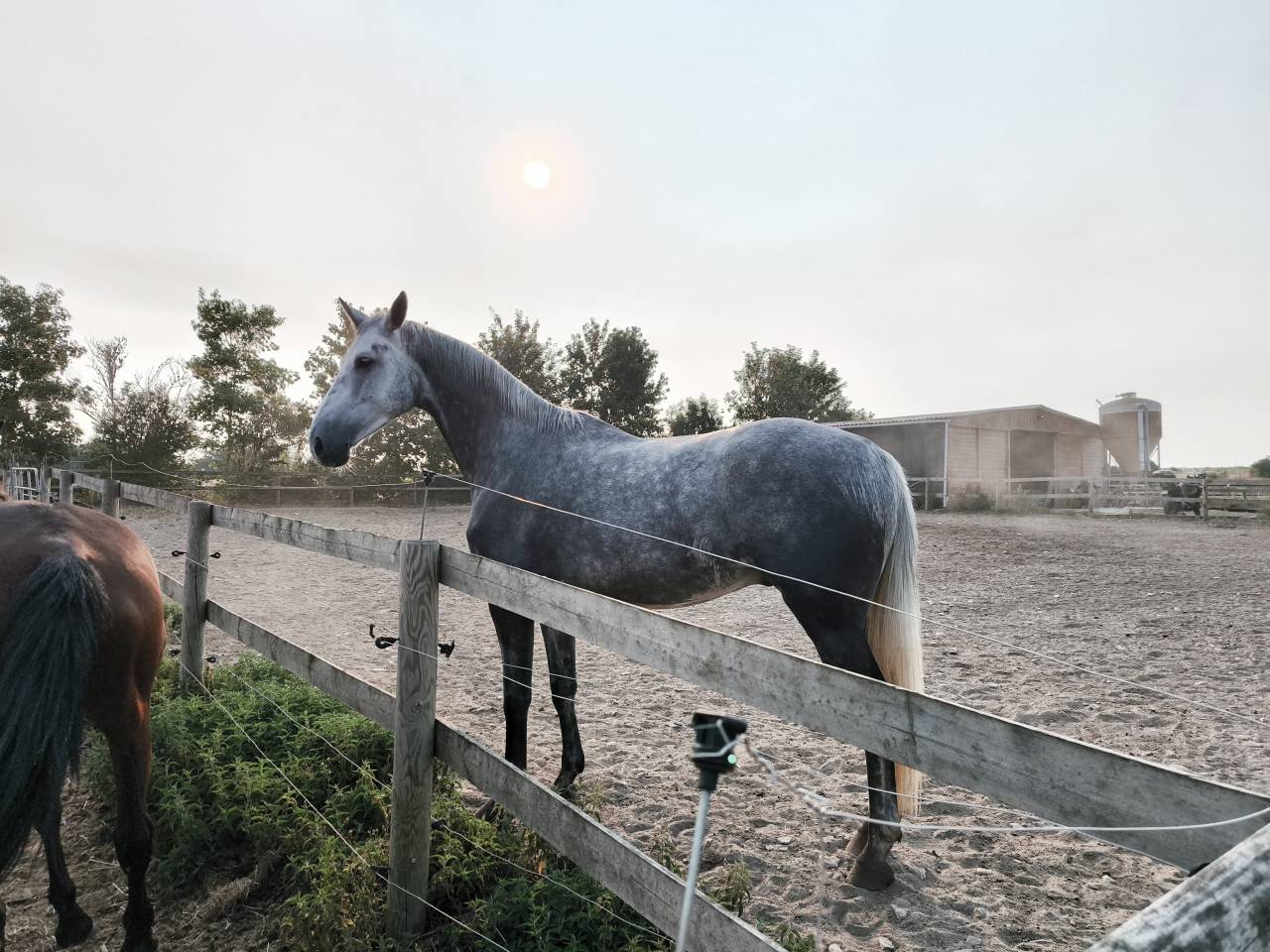 A vendre 5 ans 