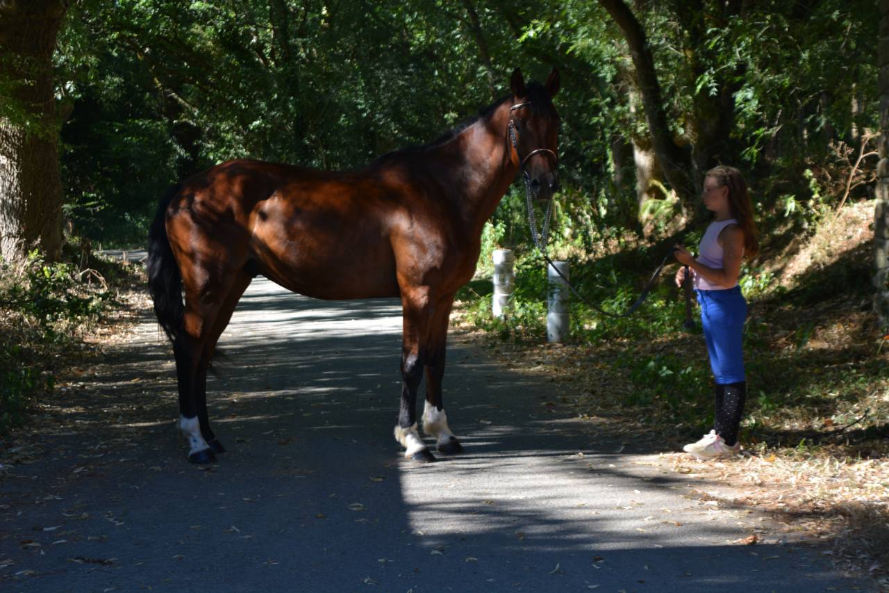 PROMETTEUR 5 ANS PAR CICAVE DU TALUS X CALVARO