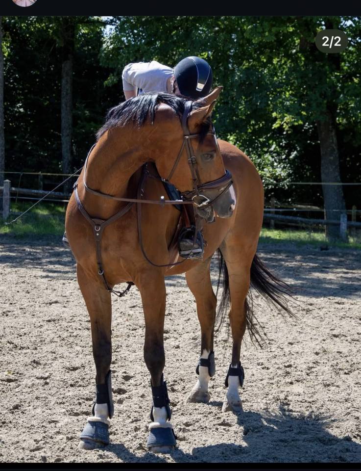Selle fran&ccedil;ais &agrave; vendre 